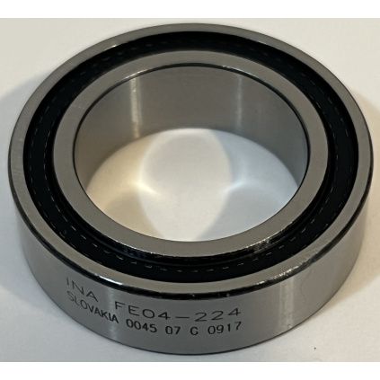 FE04-224.61906 INA
