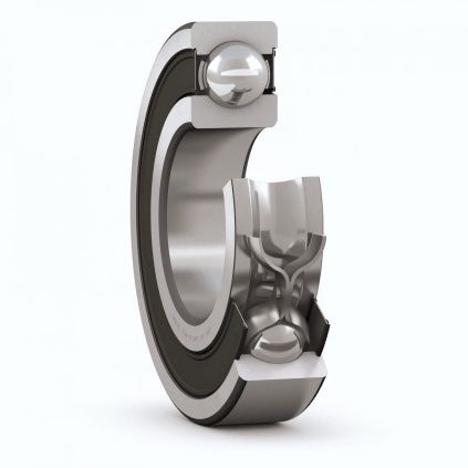 6009 2RS SKF