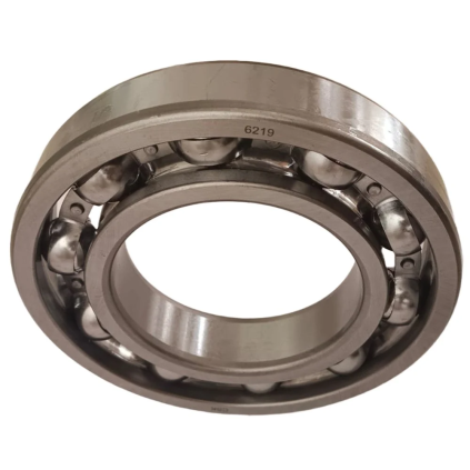6219 SKF