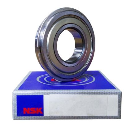 6004 ZZNR NSK