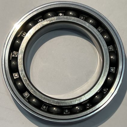 6010/D8DBGAVJ137 SKF
