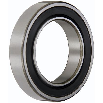 6010 2RS SKF