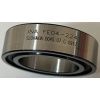 FE04-224.61906 INA