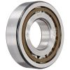 NUP 308 ECP SKF