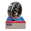 1318 SKF