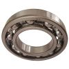 6219 SKF