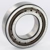 NJ 2211 ECP SKF