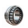 22217 E SKF
