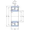 BS2-2222-2RS5/C3GEM SKF